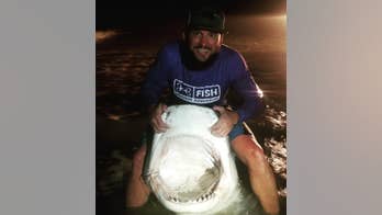 Texas man reels in 12-foot tiger shark after 'intense fight'