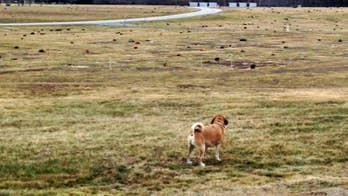 7 people buried in the wrong graves at veterans' cemetery in Rhode Island