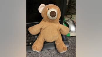 New Jersey Turnpike reuniting lost teddy bear with boy