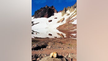 Oregon woman reunites girl with stuffed animal lost on hike