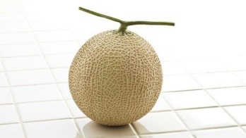 Pair of Japanese melons fetch $15,730 at auction