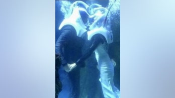 Plenty of Fish couple gets married underwater