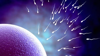 Father’s sperm may point to child’s autism risk, study finds