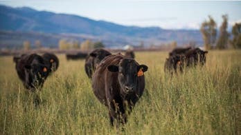 $40M Cakebread Ranch Is Wyoming's Most Expensive House