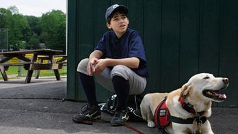 Special Dogs Track Allergens to Keep Kids Safe