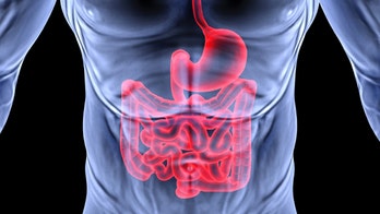 'Gluten-free' probiotics often contain gluten, study finds