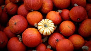 Delicious Dishes for National Pumpkin Day