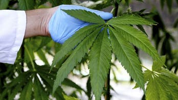 Australia to allow marijuana to be grown locally for medical trials