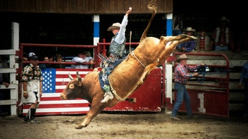 All American cowboy: 8 must see rodeos this summer