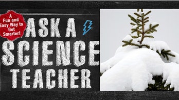 Ask a science teacher: Why is snow white, and where does its color go when the snow melts?