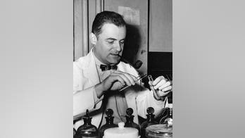 Human fetal tissue long used for variety of medical studies