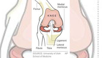 Surgery, therapy both prove good for knee repair