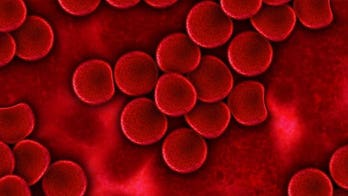 Simple chemical stops prion disease