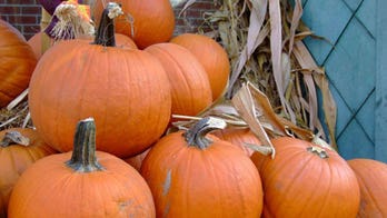 Painted pumpkins raising awareness about food allergies