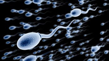 Modifying gene may be solution to female infertility, study finds