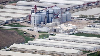 Lax biosecurity found on several Iowa bird flu farms