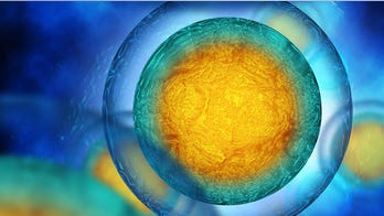 Muscle relaxant may treat rare form of diabetes, scientists find