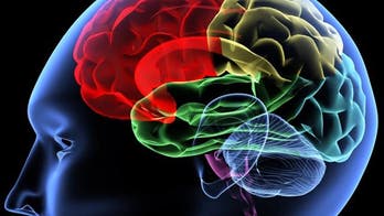 Creativity may be genetically linked with psychiatric disorders