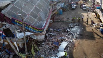Hero dog that rescued 7 people after Ecuador quake dies from exhaustion
