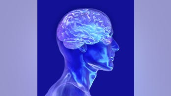 Cooling brain protein could aid search for Alzheimer's treatment