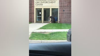 Bear is 'friendly visitor' outside Minnesota sheriff's office