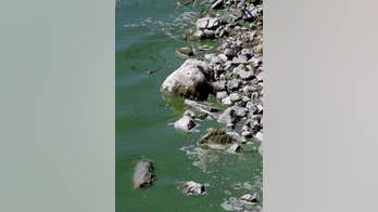 The Latest: Farm water warning lifted in Utah algae bloom