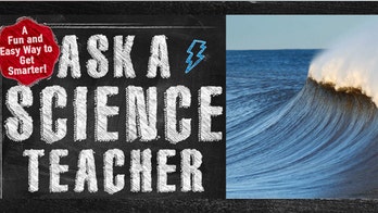 Ask a science teacher: Why are the oceans salty?