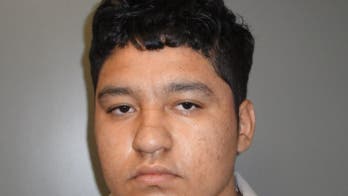 Decapitation case: Teen suspect's mental state to be probed