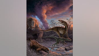 Study sheds fresh light on early relatives of dinosaurs