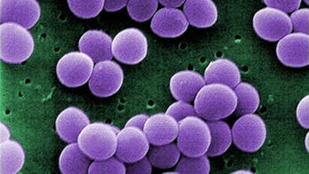Super-superbugs: Antibiotic-resistant bacteria may be deadlier