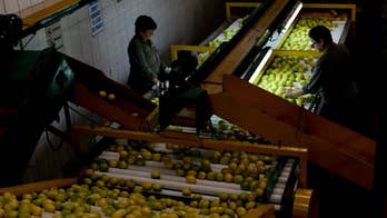 Argentine lemon ban Trump protectionism or sanitary measure?