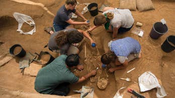 Israel find may help solve mystery of biblical Philistines