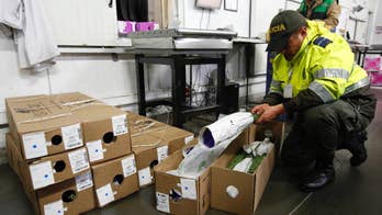 Colombia keeps cocaine from spoiling Valentine's Day flowers