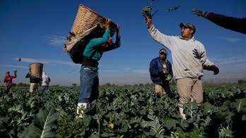 In Mexico, fears a new plant will kill wastewater farming