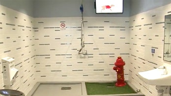 Atlanta airport reveals it spent nearly $4M on dog bathrooms