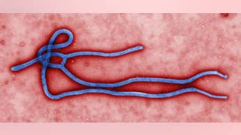 US bots flagged Ebola outbreak before outbreak announced
