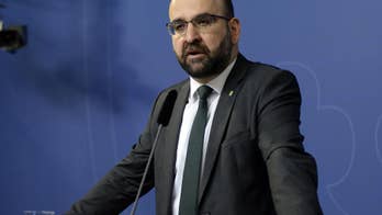 Swedish Greens jolted by claims of Islamist infiltration