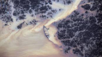 Geologist: Shell concealing hazards from Nigerian oil spills