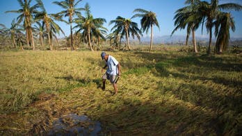 Hurricane Matthew relief effort in Haiti enters new phase