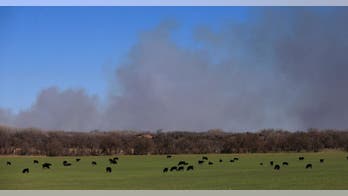 The Latest: Texas boosts estimates of wildfire-ravaged land