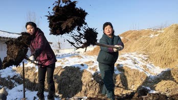 On frozen fields, North Korean farmers prep for battle ahead