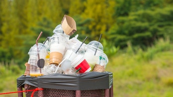 The plastic we 'recycle' is actually horrible for the environment