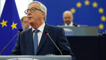 EU executive: Bloc must do more in defense field