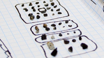 Meteorite fragments spark 'gold rush' in Russia