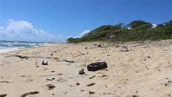 Hawaii's beaches covered with debris, some from 2011 tsunami, study finds