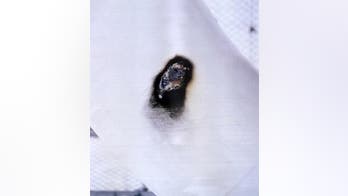 Dakota Access pipeline vandalism highlights sabotage risks