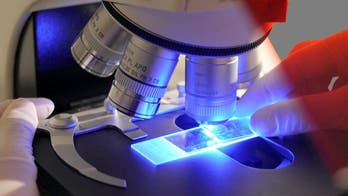 Colon cancer study may lead to new treatments