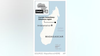 Madagascar forest overwhelmed by thousands seeking sapphires