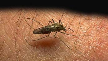 Engineers using cellphones to diagnose malaria in Rwanda