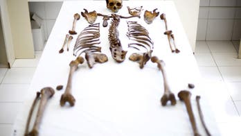 New medical camera is able to see light from inside the human body